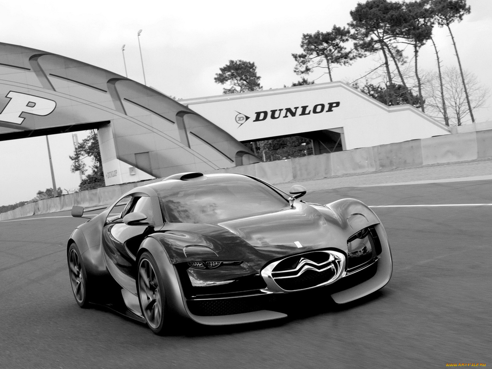 , citroen